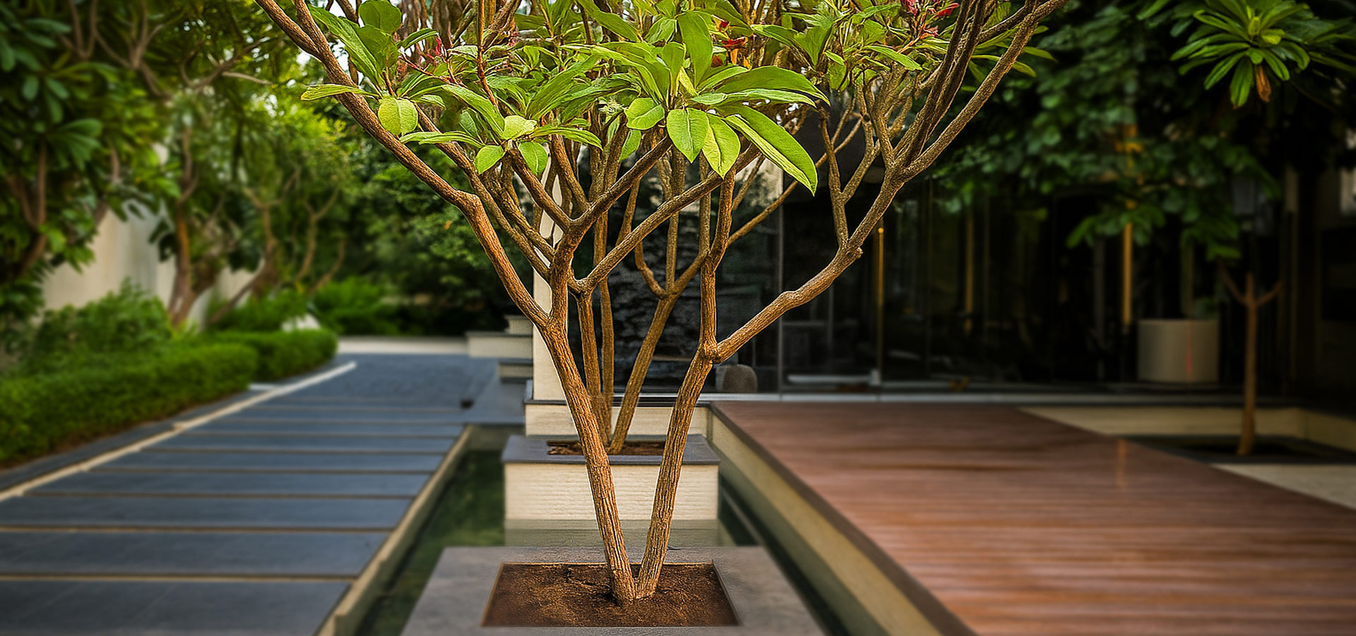 Aram-Building-Contracting-Dubai-landscape-Design-services-slider